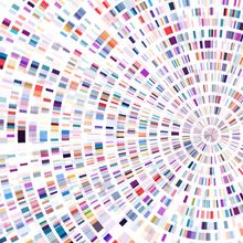 Conceptual image of DNA sequencing map with concentric multicolor squares on a white background.