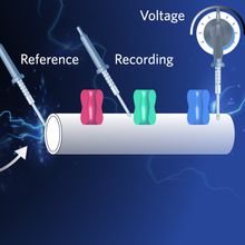 Image of an axon, with a callout box highlighting a portion of the cell membrane. It depicts three different electrodes and ion channels along the membrane.