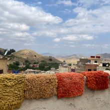 Image of carpet squares drying in the sun.