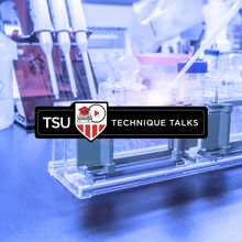 Turning the PAGE: Tips for Protein Electrophoresis and Western Blotting