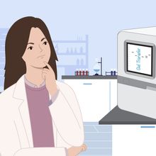 A researcher looks at the screen of an imaging equipment. She sees a picture of a Western blot membrane.