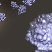 An illustration of purple-colored single domain antibodies floating in front of a black background.