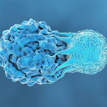 A blue T cell attacks a blue cancer cell