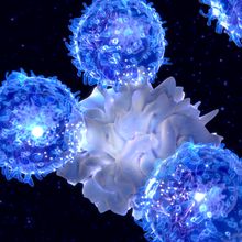 NK cells surrounding a cancer cell