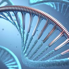 An illustration of an antisense oligonucleotide bound to an mRNA molecule.