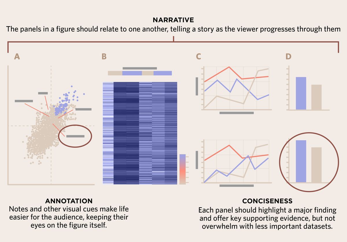 <strong >Narrative</strong><br>The panels in a figure should relate to one another, telling a story as the viewer progresses through them.<br><strong>Conciseness</strong><br>Each panel should highlight a major finding and offer key supporting evidence, but not overwhelm with less important datasets.<br><strong>Annotation</strong><br>Notes and other visual cues make life easier for the audience, keeping their eyes on the figure itself.