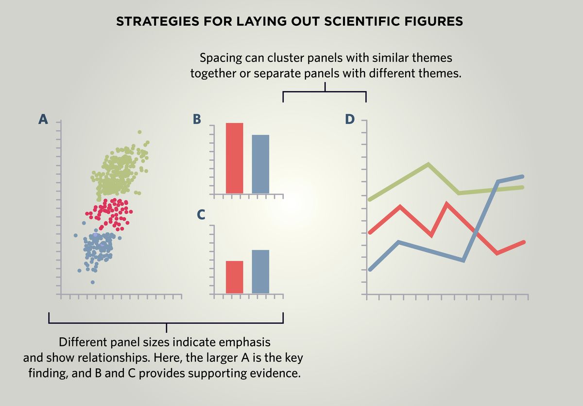 Strategies for Laying Out Scientific Figures. Different panel sizes indicate emphasis and show relationships. The larger panel A represents the key finding, while smaller panels B and C provide supporting evidence. Spacing can cluster panels with similar themes together or separate panels with different themes.