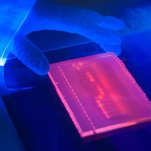 Close up of ultraviolet light box during the preparation of an agarose electrophoresis gel used in DNA separation.