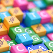 Collection of pink, green, blue, yellow, and green cubes with A, G, T, C, and a double helix printed on them.