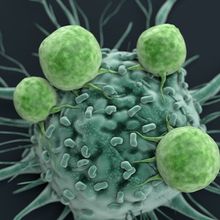 An illustration of a single cancer cell (in seafoam green) with four white blood cells (in green) attached to it.