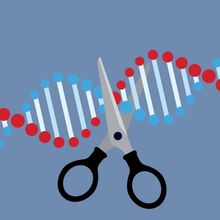 A conceptual illustration of scissors, which represents a CRISPR-Cas9 complex, cutting a DNA molecule.