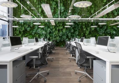 Modern open plan office with white desks, computers, and chairs in the foreground and a vertical plant wall in the background.