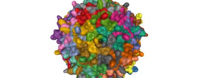 Crystal structure of adeno-associated virus serotype 3B