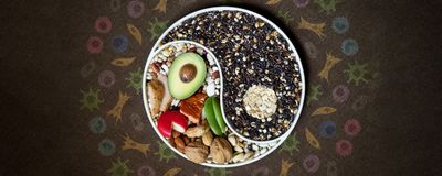 A bowl filled with various nuts, beans, seeds, avocado, oats, cheeses, and meat, is arranged by color to form a yin-yang symbol. The background is filled with cartoon images of cells.