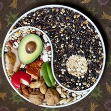 A bowl filled with various nuts, beans, seeds, avocado, oats, cheeses, and meat, is arranged by color to form a yin-yang symbol. The background is filled with cartoon images of cells.