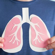 A man in a blue shirt holds a pinkish paper cut out of a pair of lungs.