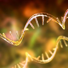 An illustration of mRNA molecules.