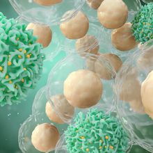 An Illustration of green T cells attacking cancer cells with beige-colored nuclei