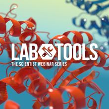 Using Mass Photometry to Assess and Characterize Protein Samples&nbsp;