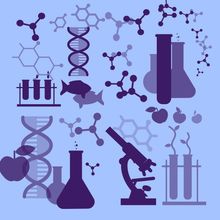 Conceptual image of multiomics: Biological samples such as fish and apples are surrounded by scientific instruments like flasks, test tubes, and a microscope, with strands of DNA and different chemical molecules