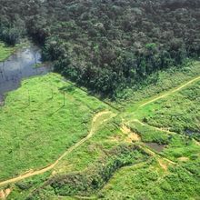 edge of the amazon showing deforestation