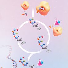 Infographic showing the comparison between chemical and enzymatic DNA synthesis