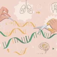 Two hands cut and manipulate the genome surrounded by different organs of interest.