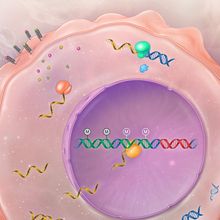 Infographic showing transposable elements in cancer