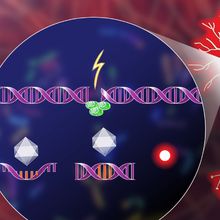 To flag neurons that have experienced genotoxic stress, researchers developed an in vivo sensor using an adeno-associated viral vector, called PRISM. Because a cell&rsquo;s DNA damage response (DDR)&mdash;which activates in response to stressors such as environmental toxins or the buildup of misfolded proteins&mdash;also responds to invading pathogens, PRISM has an easier time transfecting cells whose damage response mechanisms are preoccupied with existing DNA damage. Once inside, the virus hijacks the neuron&rsquo;s DNA replication machinery, which reverts an engineered frameshift mutation in the virus and thereby prompts the production of a fluorescent protein that can be observed via microscopy.