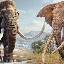 Photographic rendering of Woolly Mammoth and elephant with background elements merging together