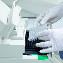 A scientist loads a 96-well plate containing qPCR reactions into a thermal cycler for DNA amplification and detection.