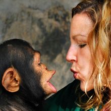 Woman and baby chimpanzee face to face, as if they were talking to each other