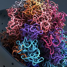 An illustration of a perforated grey nucleus holding colorful spaghetti-like DNA strands.