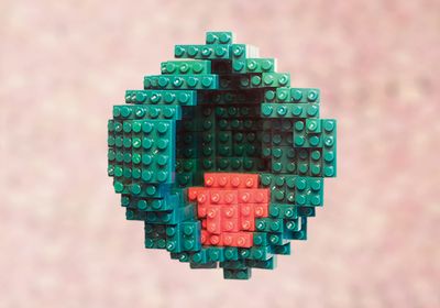 Image of an embryo built from Lego bricks showing cell populations in green and red.