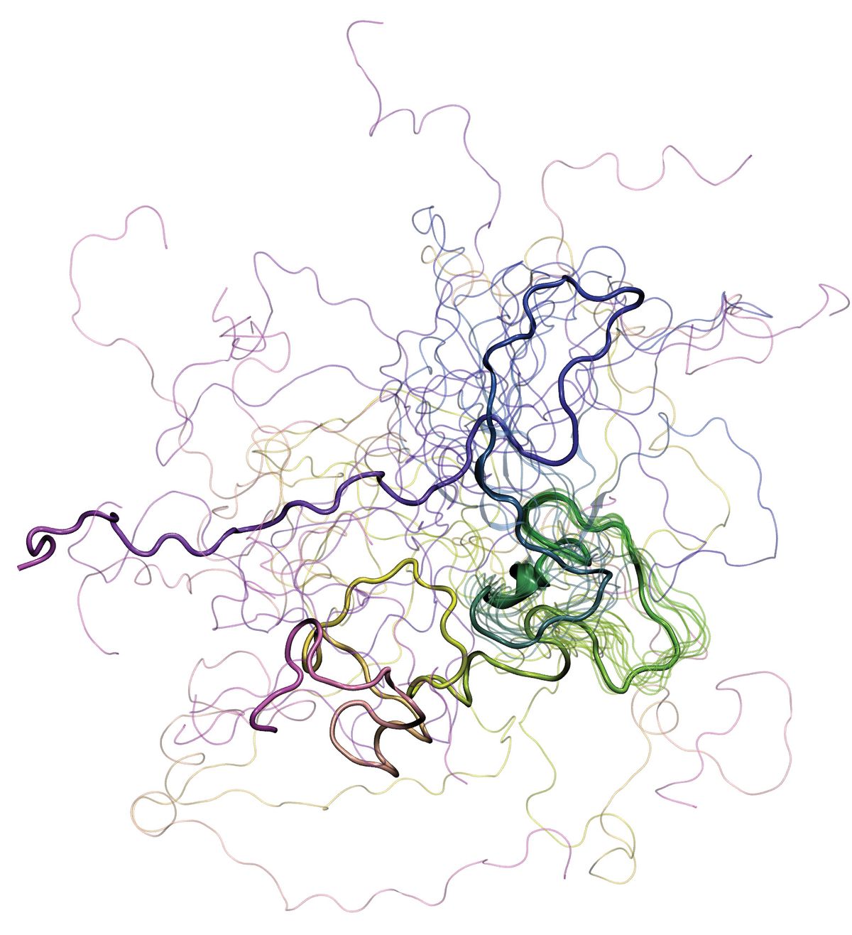 The intrinsically disordered protein Synapsin-1