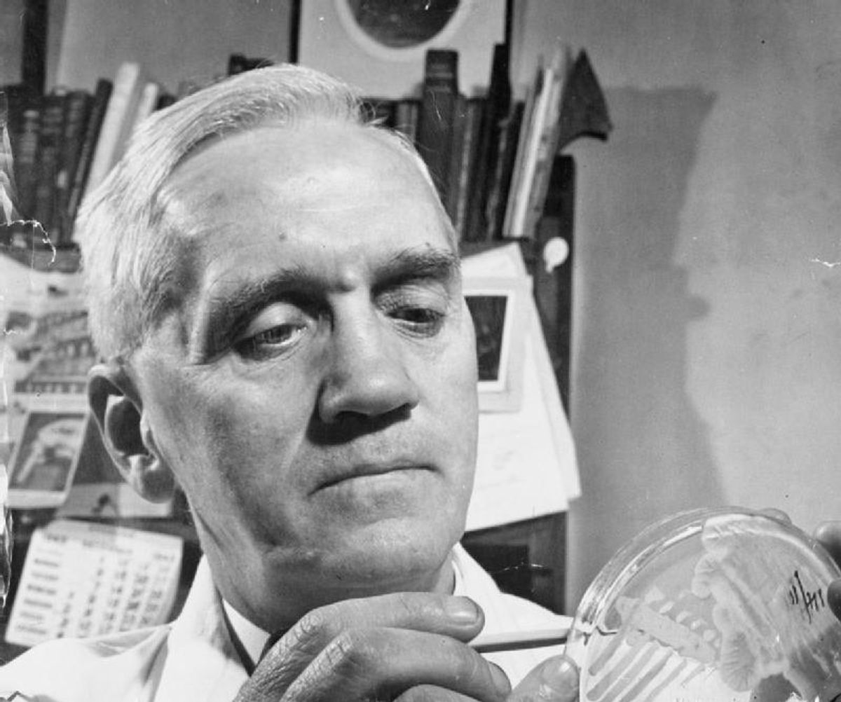 A close-up shot of Alexander Fleming looking at a Petri dish.