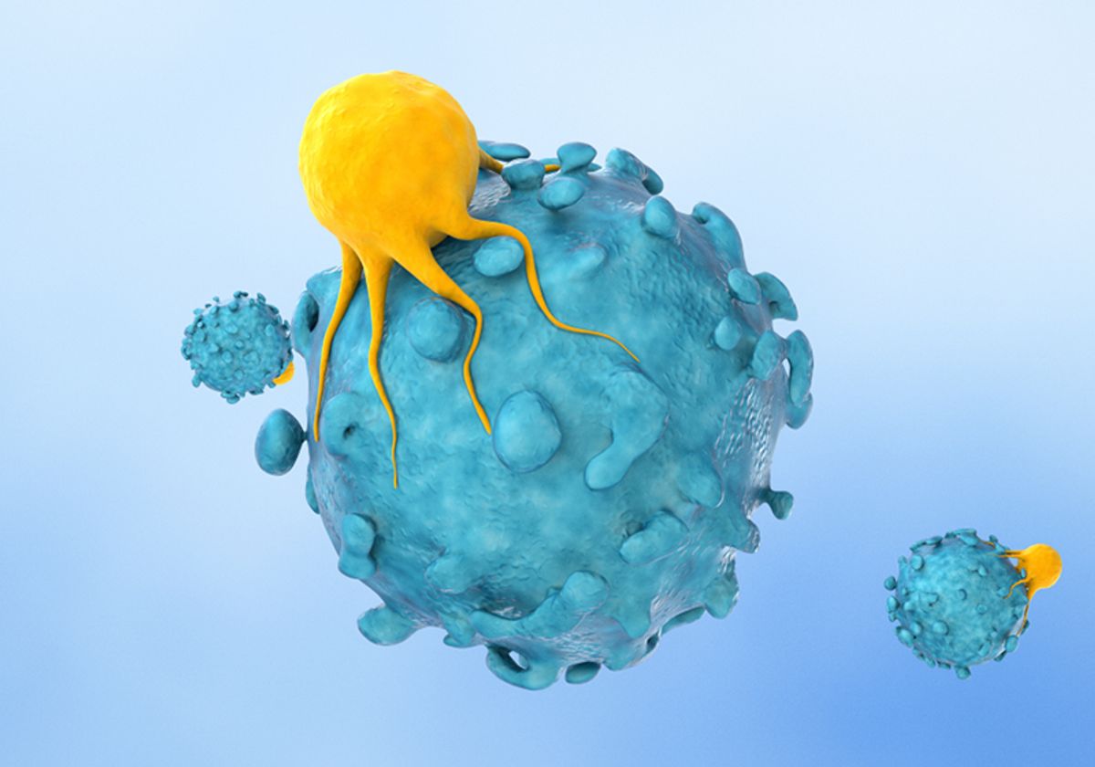 Illustration showing a yellow T cell attached to a blue cancer cell.