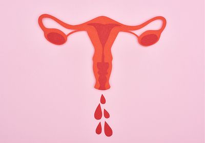 Top view of a red paper cutout of female reproductive internal organs with blood drops on pink background.