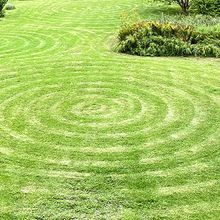 Image of concentric circles cut into a grass lawn.