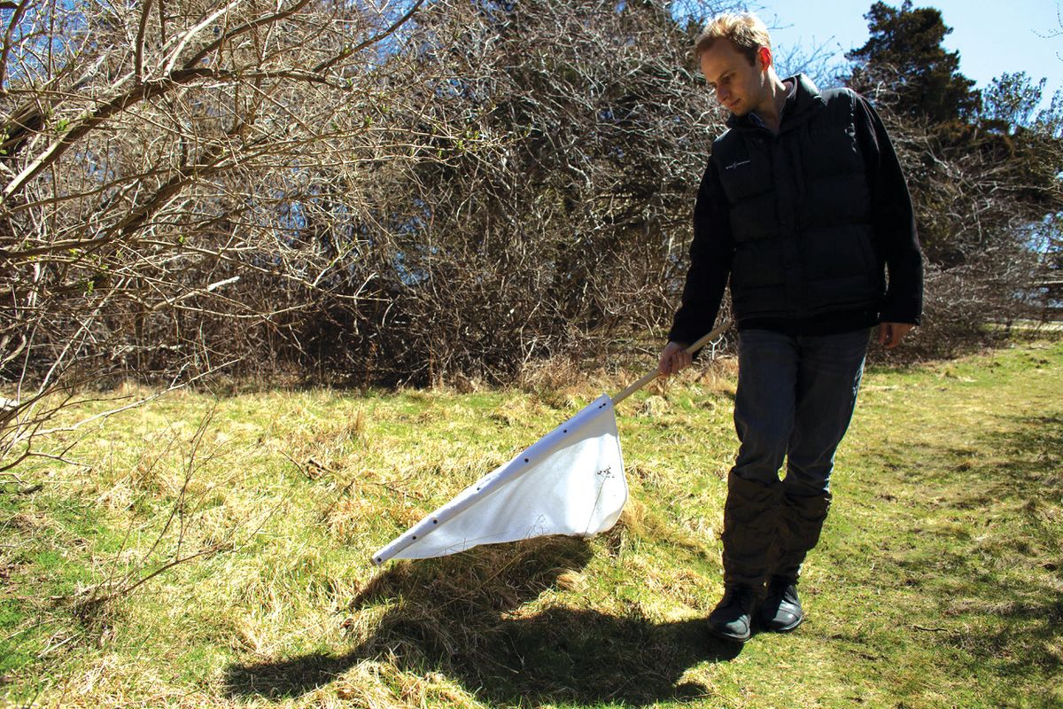 Esvelt walks through a field, dragging a piece of white fabric through the grass.