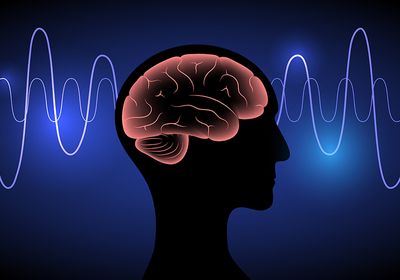 Illustration of a pink brain in a silhouette on a background with brainwaves.&nbsp;