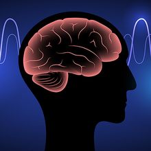 Illustration of a pink brain in a silhouette on a background with brainwaves.&nbsp;