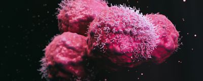 An illustration of malignant cancer cells in pink on a black background.