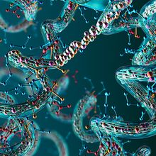 Illustration of chains of amino acids forming proteins show in light blue against a dark blue background.