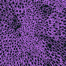 Abstract image depicting a section of tissue made up of purple cells, on a black background.