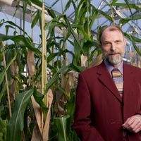 Joachim Messing in a greenhouse with corn