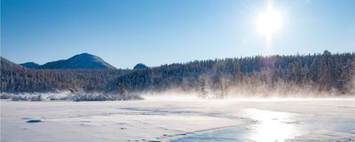 Landscape of frozen river and spruce trees