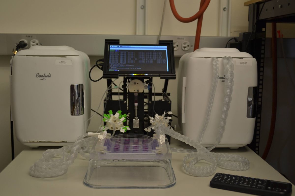 A microfluidic system connected to a multi-well culture dish through tubing and machinery.