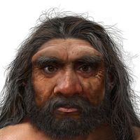 An artist's depiction of a new species of Homo, H. longi