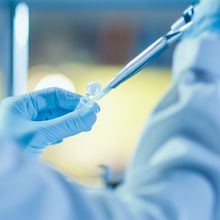 blue-gloved hands pipetting from test tube